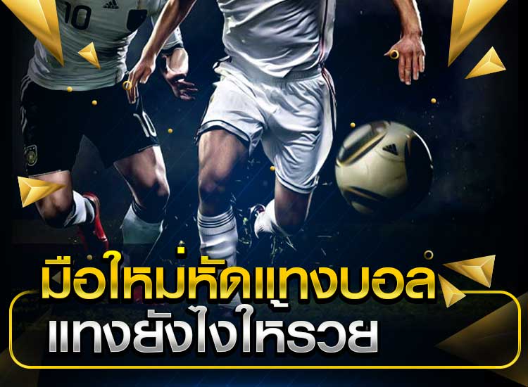 เว็บแทงบอลออนไลน์ 168