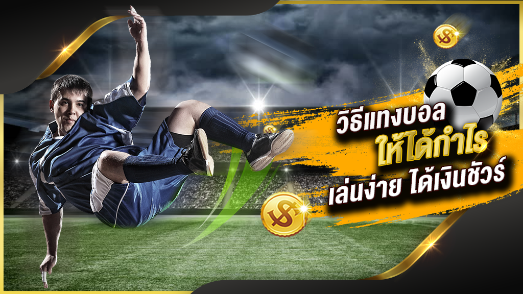 วิธีเล่นพนันบอลเป็นอาชีพ