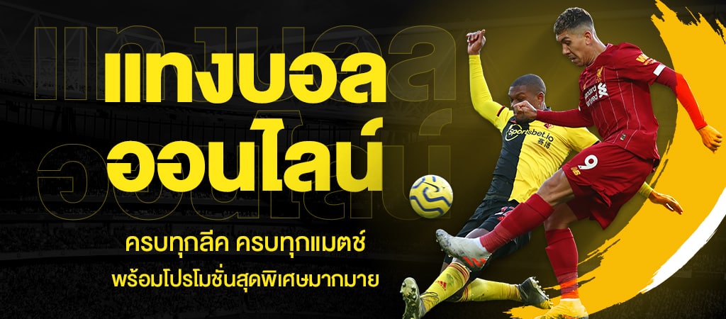 เว็บไซต์แทงบอล789